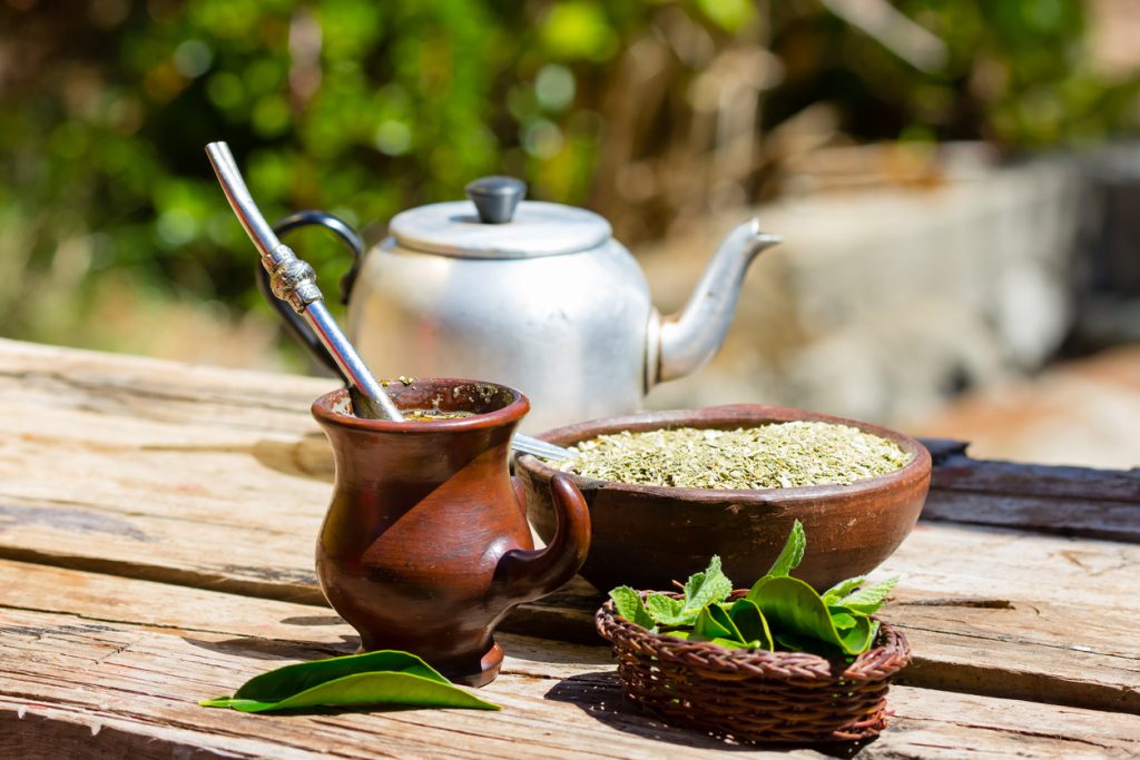 Erva-Mate - Tradição e Cultura